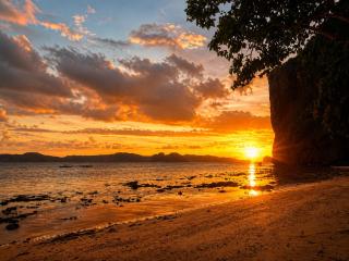 Zen Oasis Resort - El Nido - 1