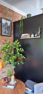 Studio 149 - 8