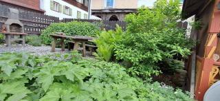 XXL Cosy apartments Villa Goisern, centre with mountain view - 8
