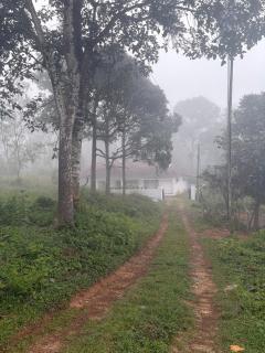 Cloud Home Chembra Peak View Stay in Kalpetta - 4
