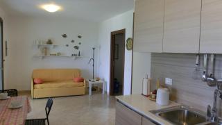 Susino - 7