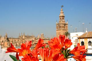 Hotel Boutique Casas de Santa Cruz - Sevilla - 5