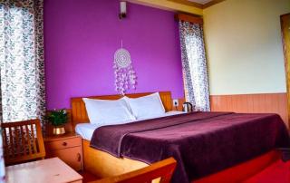 Ziora Stay Manali - 4