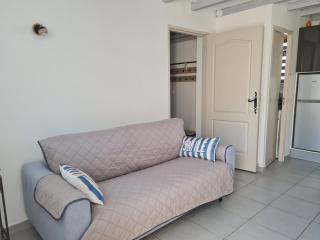 appart cosy avec son exterieur chaleureux,piscine et parking prive - 1