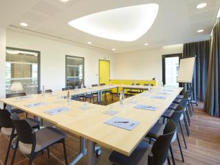 Kyriad Prestige Pau – Palais des Sports - Pau - 5