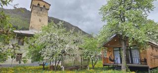Cottage Ametapi - 1