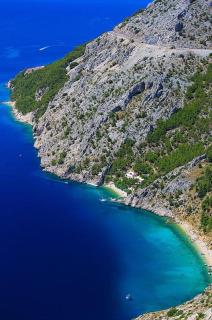 Dalmatian Green Peak - 8