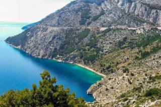 Dalmatian Green Peak - 7