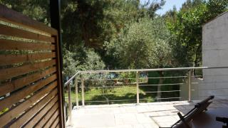Life on Green - 2