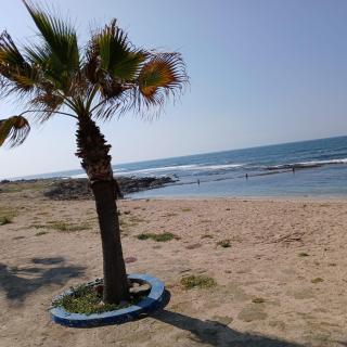 Villa de plage en résidence privée - 7