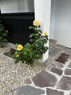 Vila Marla - 4