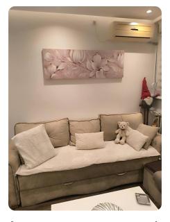 Nina Urban Apartment-Novi Beograd - 4