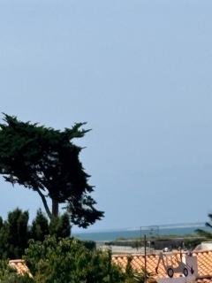 villa Hortense, 1 min à pied plage Saint Martin de Ré, très calme, piscine chauffée - 5