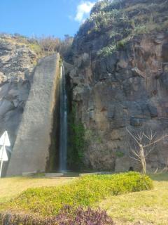 Paradise House - 8