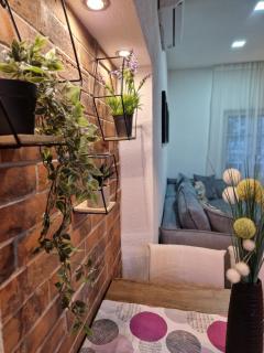 Apartman Siesta - 5