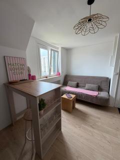 T2 cosy au cœur de Clermont - 8
