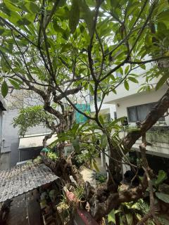The New Chapter Hostel - 1