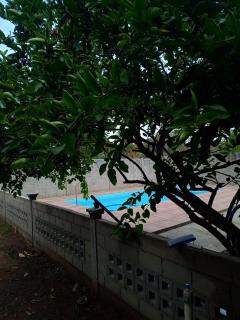Refúgio no verde com piscina - 5