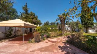 Palm Paradise 3BR Villa · Pool · La Soukra - 9