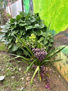 ShalonApartments Relax in the Paradise of Cahuita - 4