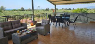 THEA olive residence - 5