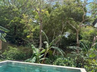 Casa La Paz, Paix, Jungle, Singes, Piscine à Atenas - 2