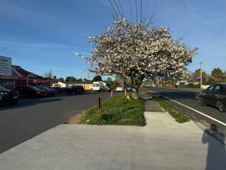 Rotorua 4-Star Hotel Rooms - 2
