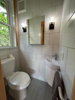 Sunny 2BR with Pond, Fireplace, Walk to Stowe - 1