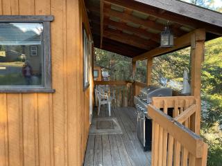 Doug's Emporium and Riverside Cabins - 1