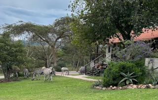 Khululeka Safaris Lodge - White River - 7
