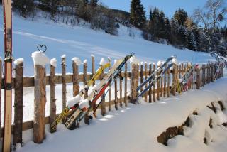 Ferienhaus Niedernsill - 2