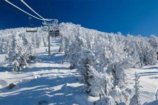 Bigwood 54 K - Mammoth Lakes - 8
