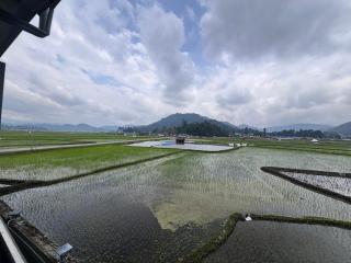Pigey Poro Homestay - 5
