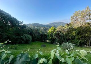 Sunny Tiny Home in Whitianga - 4