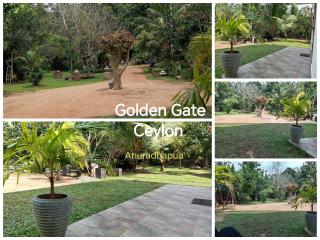 Golden Gate Ceylon - 8