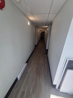 Entire Apartment, Centrally Located! - 2