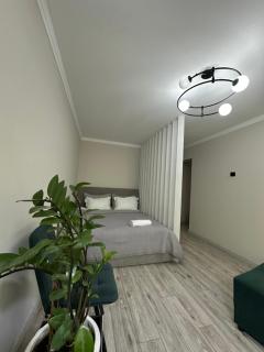 Modern One-Bedroom Apartment - 8