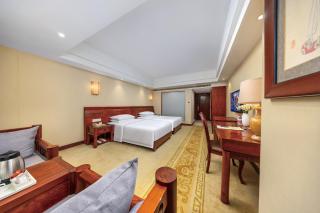 Vienna International Hotel Xi'an Dayan Tower - 7