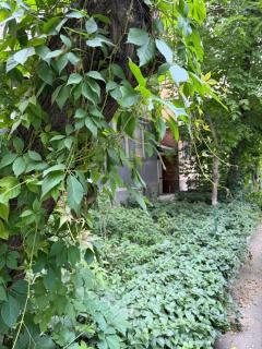 ECO downtown place , romantic atmospher! - 1