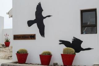 The Cormorant House - 9