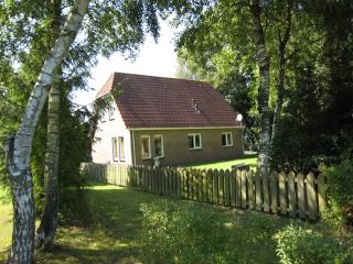 Vakantiepark de Bronzen Eik - Sellingen - 3