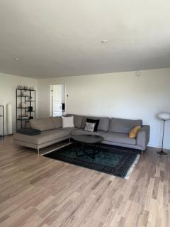 Spacious Luxury Villa in Copenhagen - 3