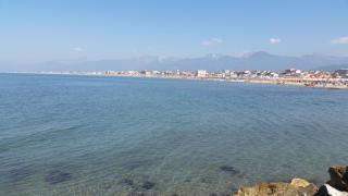 Burlamacco Gold - Viareggio - 3