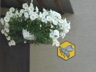 Forester Apartment Zuberec - 8