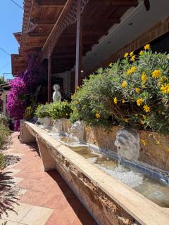 Costas Inn - 8