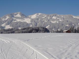 Gästehaus Koros - 3