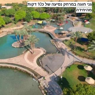 פנינה בשדה - 8