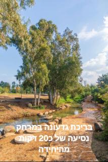 פנינה בשדה - 2