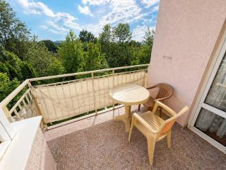Two-bedroom apartment with garden view - 8
