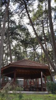 Arsan Otel - 5